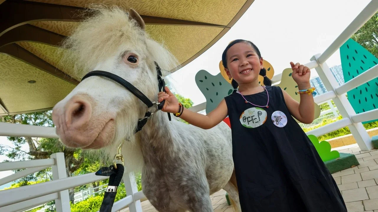 香港赛马会小马世界阵容轮换分析:健康管理与公众体验